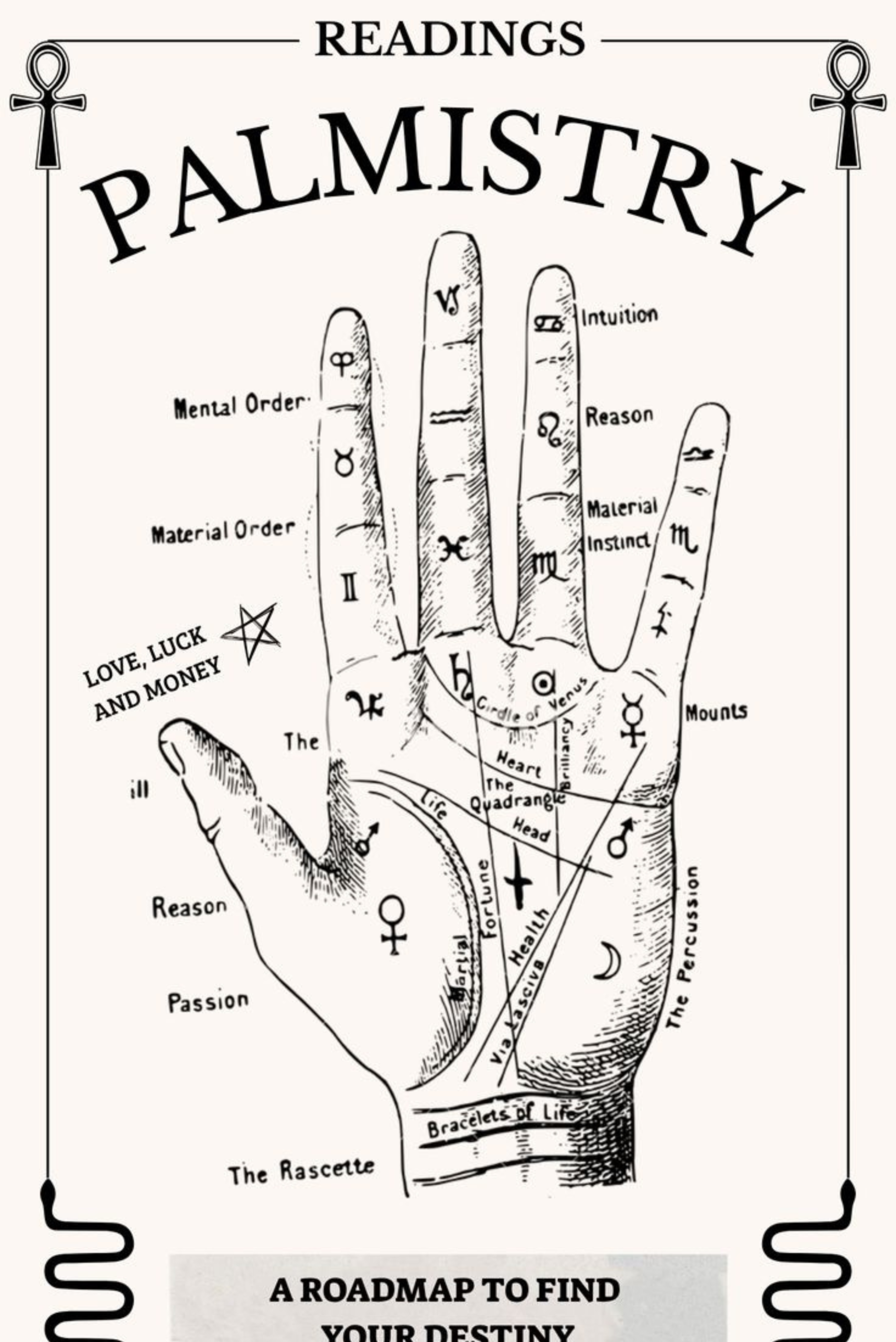 Palmistry & Face Reading Assistance